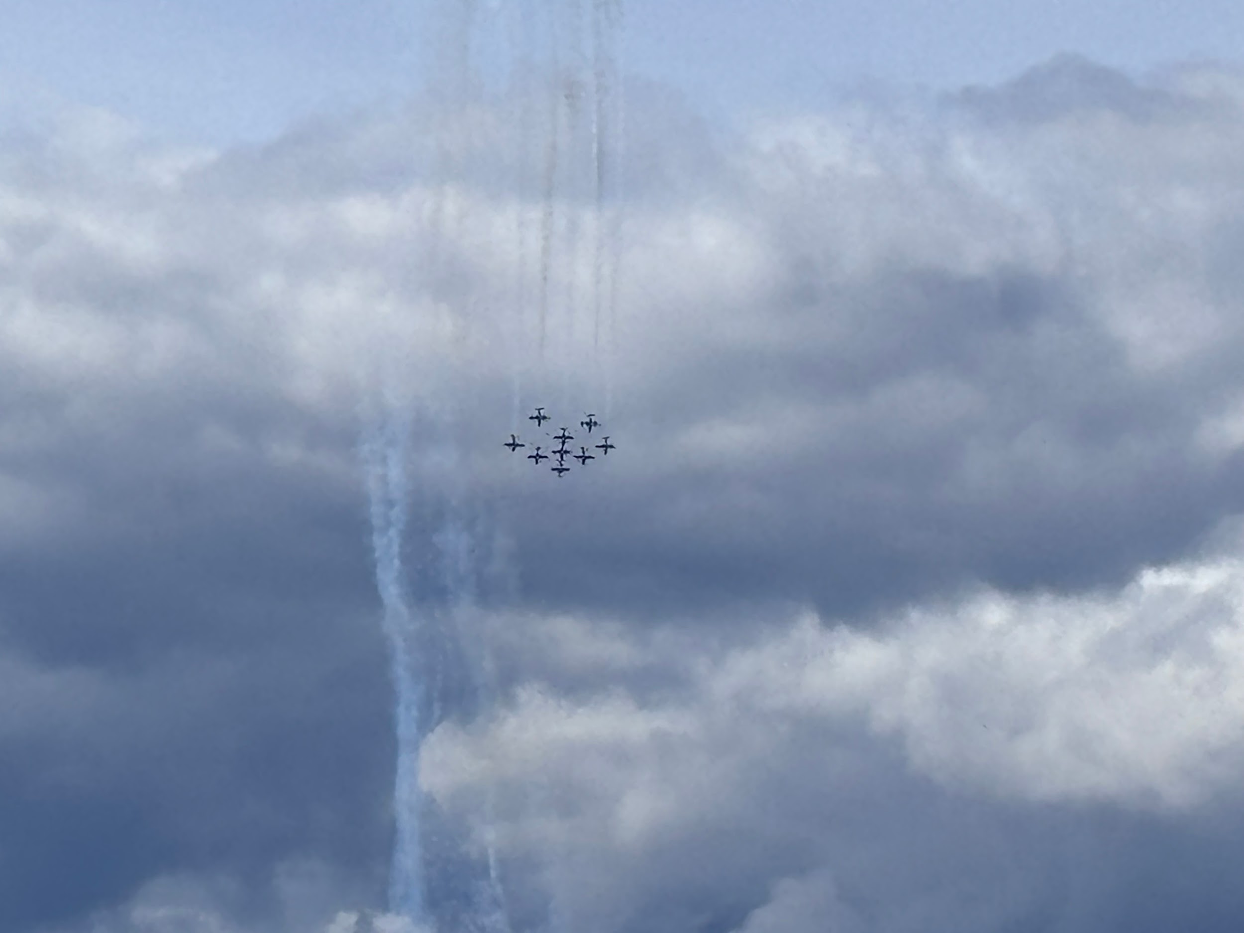 Canadian Snowbirds in formation