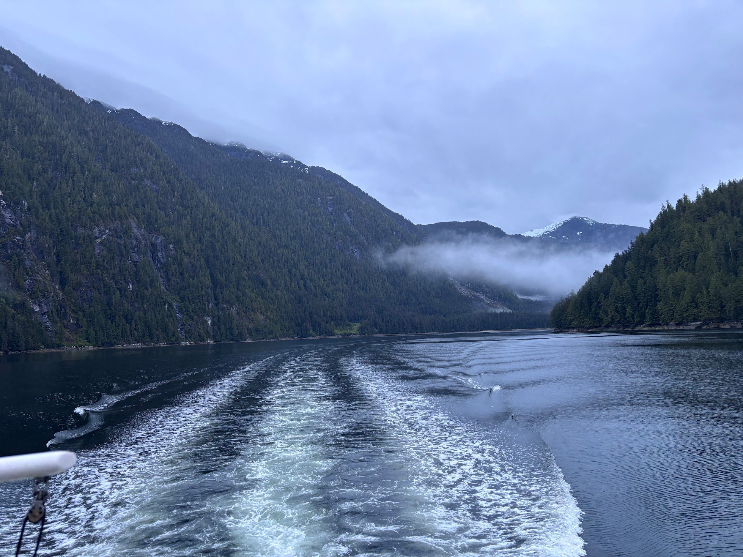Morning Fog