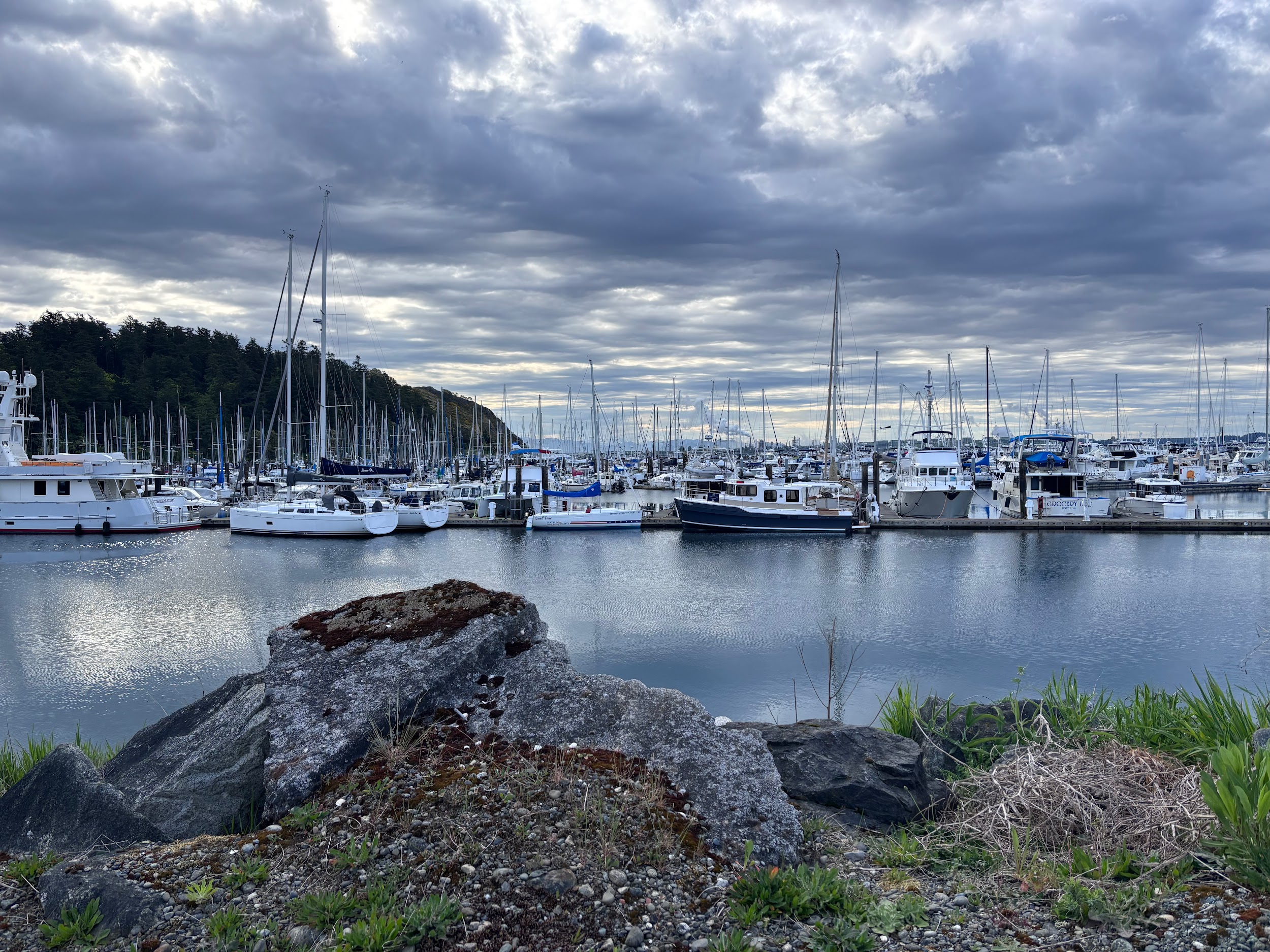 Anacortes Harbor